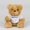 Bear in a t-shirt Thumbnail