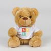 Bear in a t-shirt Thumbnail