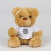 Bear in a t-shirt Thumbnail