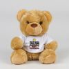 Bear in a t-shirt Thumbnail